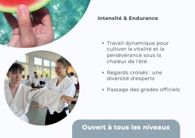 Stage d’été, 13-15 Août 2026