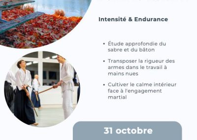 Stage Automne, 31 Octobre 2026